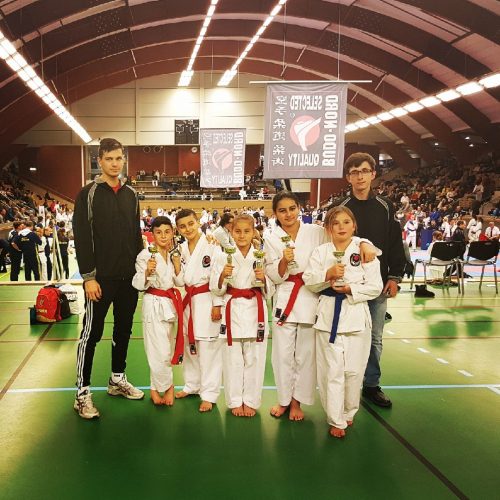 Karate Kid Cup & Svenska Juniorpokalen 2017